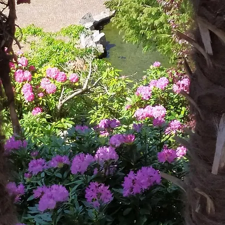Appartement Il Giardino Di Rosa Valle Mosso
