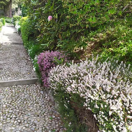 Il Giardino Di Rosa